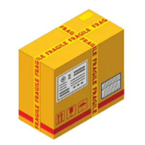 Express Shipping